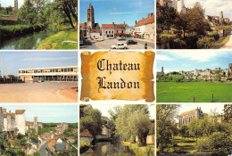 77-CHATEAU LANDON-N°C-3667-B/0041 - Chateau Landon