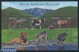 Lesotho 2001 Animals 6v M/s, Mint NH, Nature - Animals (others & Mixed) - Birds - Cat Family - Zebra - Lesotho (1966-...)