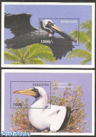 Tanzania 1997 Birds 2 S/s, Mint NH, Nature - Birds - Tanzania (1964-...)