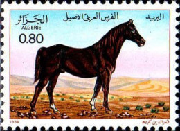 Algérie (Rep) Poste N** Yv: 813 Mi:854 Cheval Pure Sang Arabe (Thème) - Chevaux