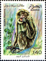 Algérie (Rep) Poste N** Yv: 745 Mi:784 Macaca Sylvanus (Thème) - Monkeys