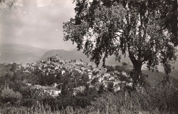 06-CAGNES SUR MER-N°T5307-D/0071 - Cagnes-sur-Mer