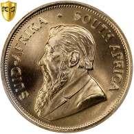 Afrique Du Sud, Krugerrand, 1982, Pretoria, Or, PCGS, FDC, KM:73 - Sud Africa