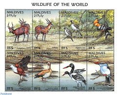 Maldives 1996 Wildlife Of The World 8v M/s, Mint NH, Nature - Animals (others & Mixed) - Birds - Ducks - Kingfishers - Maldive (1965-...)