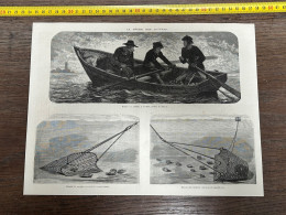 1873 ILL2 LA PECHE DES HUITRES A LA DRAGUE, A L'AVIRON, RIVIÈRE DU TRIEUX. - Collections