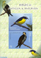 Antigua & Barbuda 2009 Birds S/s, Imperforated, Mint NH, Nature - Birds - Antigua Y Barbuda (1981-...)