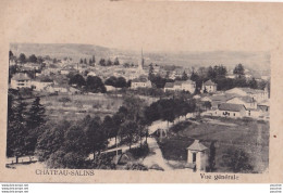 J23-57) CHATEAU SALINS -  VUE GENERALE  - ( 2 SCANS ) - Chateau Salins