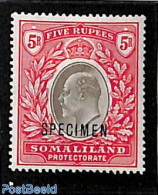 British Somalia 1904 5R, SPECIMEN, Unused (hinged) - Somaliland (Herrschaft ...-1959)