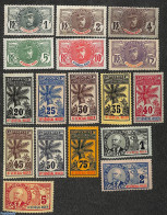Mali 1906 Haute Senegal-Niger 17v, Unused (hinged), Health - History - Nature - Health - Native People - Trees & Fores.. - Rotary, Lions Club
