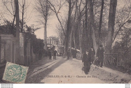 B20-77) CHELLES (SEINE ET MARNE) CHEMIN DES LIES - ( ANIMEE - HABITANTS ) - Chelles