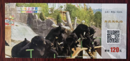 Northeast Black Bear,China 2017 Qingdao Bear Farm Tourism Scenic Spot Admission Ticket Pre-stamped Card - Orsi