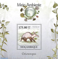Mozambique 2010 Animals S/s, Mint NH, Nature - Animals (others & Mixed) - Mozambique