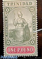 Trinidad & Tobago 1904 1 Pound, WM Multiple Crown-CA, Stamp Out Of Set, Unused (hinged) - Trinidad Y Tobago (1962-...)