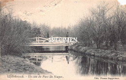 Un Coin Du Parc De Naeyer - Willebroek - Willebroek