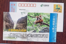 Macaque Monkey,China 2012 Shidu Macaque Grand Canyon Scenic Spot Landscape Advertising Pre-stamped Card - Scimmie