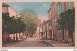 D23- 81) SAINT PAUL CAP DE JOUX -(TARN) AVENUE DE LA GENDARMERIE - CARTE COLORISEE - 2 SCANS - Saint Paul Cap De Joux