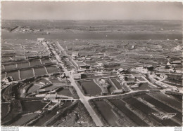 E10-17) LA TREMBLADE (CHARENTE MARITIME) VUE AERIENNE DES PARCS A HUITRES - (2 SCANS) - La Tremblade