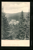 AK Todtmoos, Blick Vom Wald Auf Das Haus Wehrawald  - Todtmoos
