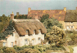 Angleterre - Long Wittenham - Abingdon - Pendon Museum - The Vale Scene - Curtis Cottage From Uffington - Parc Miniature - Otros & Sin Clasificación