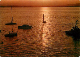 Coucher De Soleil - CPM - Voir Scans Recto-Verso - Tegenlichtkaarten, Hold To Light