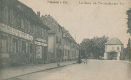 67 - HAGENAU I Els. - Landweg Am Weissenburger Tor  - TB - Haguenau