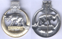 Insigne Du 28e Régiment De Tirailleurs Tunisiens - Bandeau Doré - Esercito