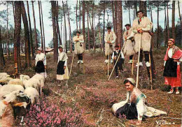 Folklore - Costumes - Landes - Lous Becuts De Countis - CPM - Voir Scans Recto-Verso - Trachten