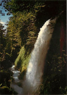 64 - Eaux Bonnes - La Cascade Du Gros Hetre - Carte Neuve - CPM - Voir Scans Recto-Verso - Eaux Bonnes