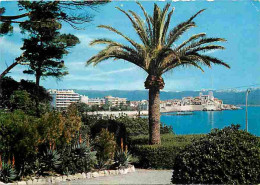 06 - Antibes - Vieille Ville - La Vieille Ville Et Les Alpes Neigeuses - CPM - Voir Scans Recto-Verso - Antibes - Vieille Ville