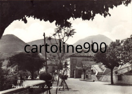 Marche-macerata-poggio S.vicino Lo Stradone Veduta Strada Di Poggio S.vicino Anni 60 - Altri & Non Classificati