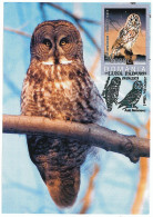 MAX 48 - 97 OWL, Bird, Romania - Maximum Card - 2005 - Uilen