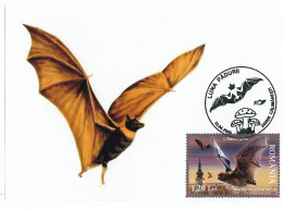 MAX 48 - 172 BAT, Romania - Maximum Card - 2009 - Bats