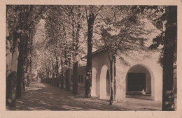 18305 - Bad Mergentheim - Kolonnaden - Ca. 1935 - Bad Mergentheim