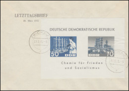 Block 18 Dederon-Block Auf Letzttagsbrief / LDC Mit Tagesstempel ZWICKAU 31.3.65 - Otros & Sin Clasificación