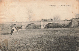 FRANCE - Cognac - Le Pont De Châtenet - Carte Postale Ancienne - Cognac