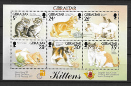 1997 MNH Gibraltar 787-92 - Domestic Cats