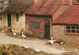 Angleterre - Long Wittenham - Abingdon - Pendon Museum - The Vale Scene - Geese At Childrey Smithy - Parc Miniature - Ox - Otros & Sin Clasificación