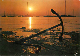 Coucher De Soleil - CPM - Voir Scans Recto-Verso - Contraluz