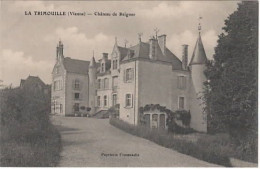 LA TRIMOUILLE   Château De Reigner - La Trimouille