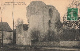 Environs De SOUPPES SUR LOING Les Ruines Féodal De Mée - Souppes Sur Loing