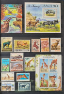 Collection De Timbres Sur Le Thème Des Animaux. - Collections (sans Albums)