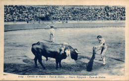 Corrida De Muerta Pase De Muleta - Corridas