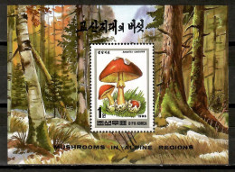 Korea North 1995 Corea / Mushrooms MNH Fungi Champignons Setas Pilze / Cu16814  32-18 - Hongos