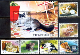 Cuba 2007 / Cats MNH Gatos Katzen Chats / Cu6001 29-21 - Domestic Cats