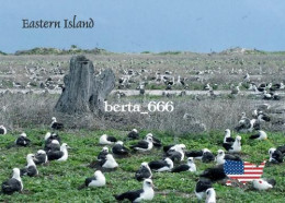 United States Midway Atoll Eastern Island New Postcard - Midway-eilanden