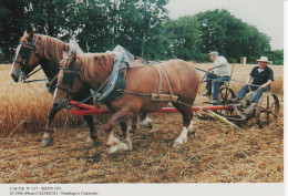 CMTB N° 117 SIZUN  Fauchage à L'ancienne. Chevaux Traction Animale - Sizun