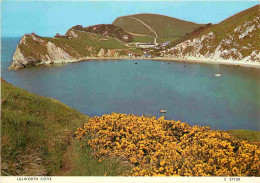 Angleterre - Lulworth Cove - Dorset - England - Royaume Uni - UK - United Kingdom - CPM - Carte Neuve - Voir Scans Recto - Autres & Non Classés