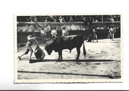 CPA CORRIDA,,NIMES, COURSE DE TOROS, LA MISE A MORT - Corridas