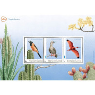 D(B) ++ NETHERLANDS MNH ** 2024 VOGELS BIRDS VÖGEL OISEAUX BONAIRE WITH 3 POSTCARDS - Nuovi