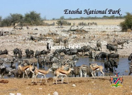 Namibia Etosha National Park New Postcard - Namibië